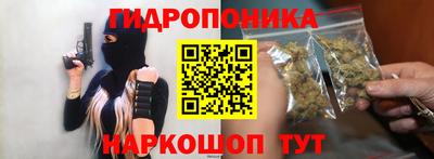 молекула духа Брянск