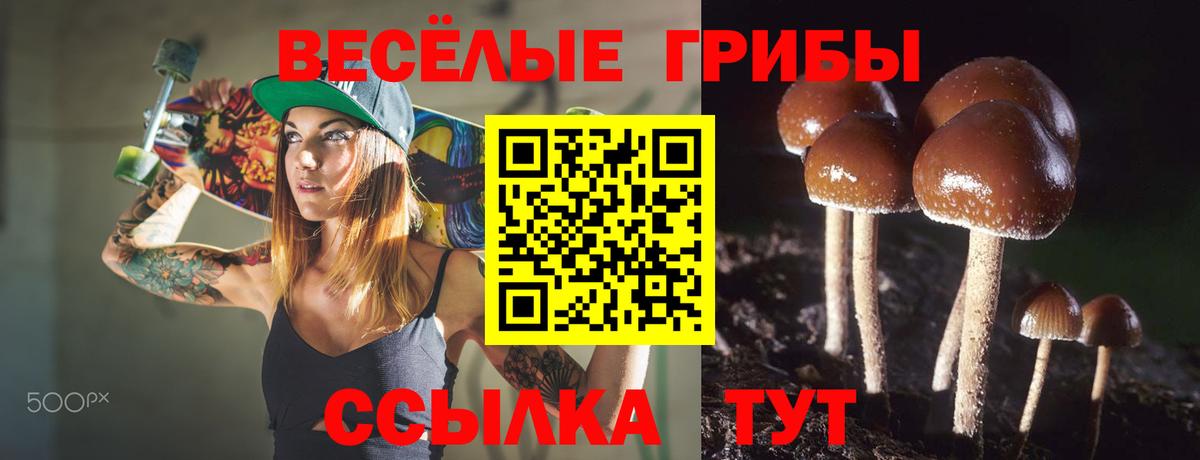 Псилоцибиновые грибы мухоморы Алатырь